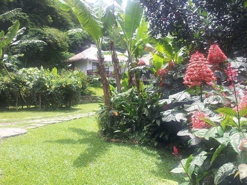 Kelimutu Crater Lakes Ecolodge Desa Kowanara エクステリア 写真