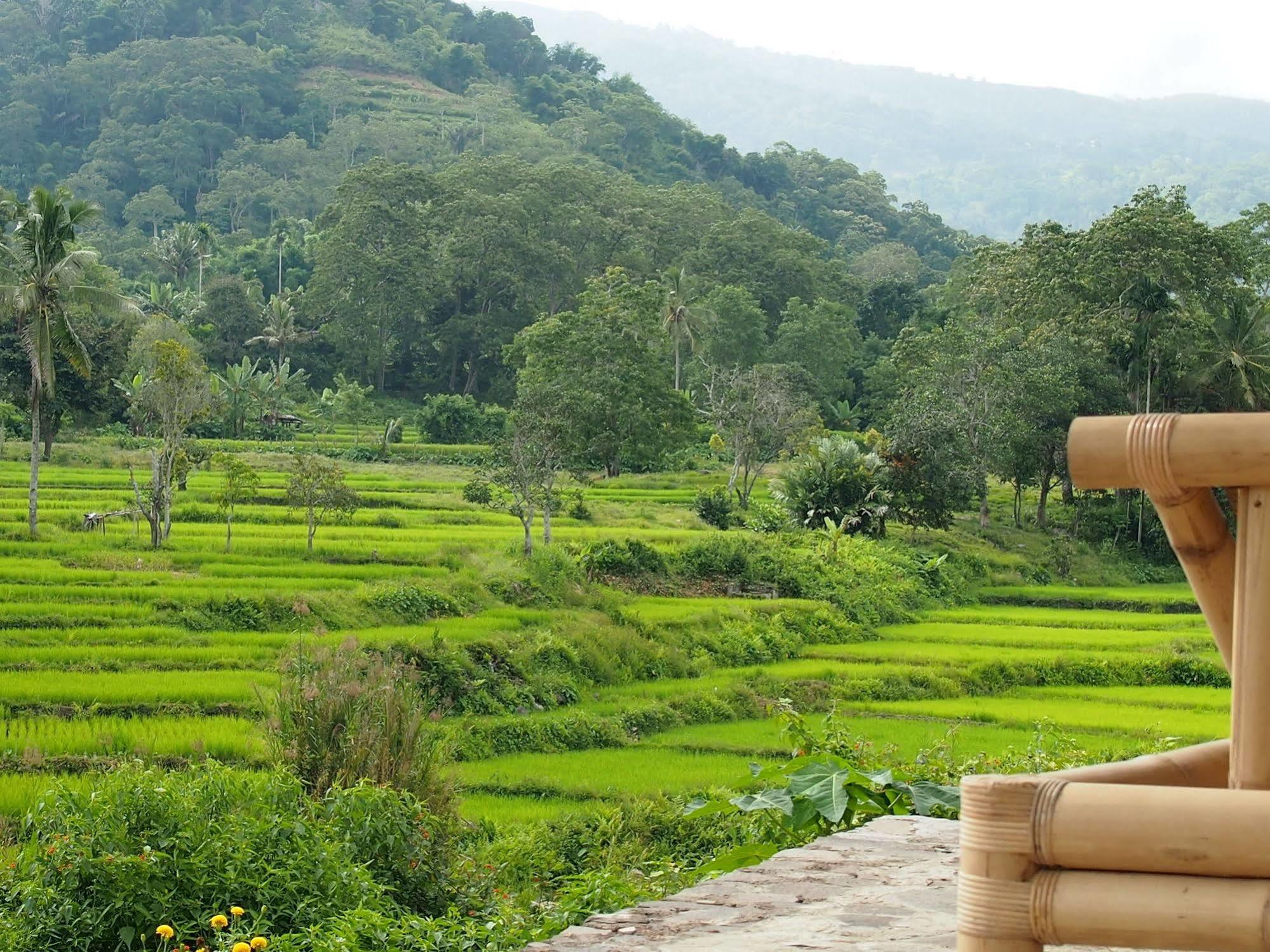 Kelimutu Crater Lakes Ecolodge Desa Kowanara エクステリア 写真